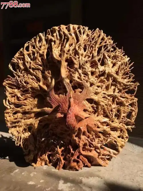 荔枝根孔雀开屏