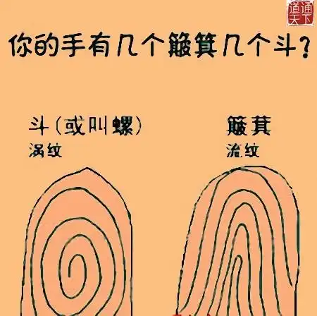 手相斗和簸箕的说法 不同斗数不同命运