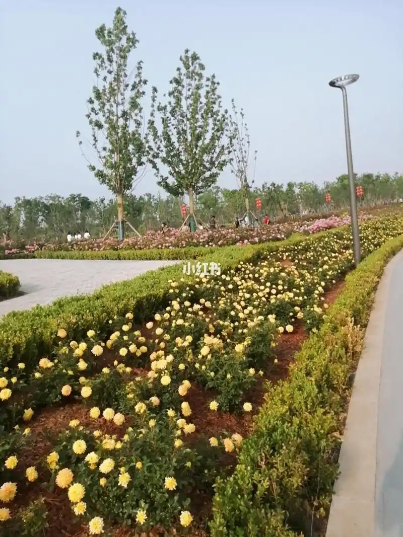 济宁凤凰台植物园