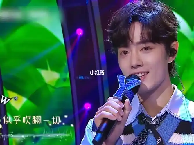 肖战被风吹过的夏天