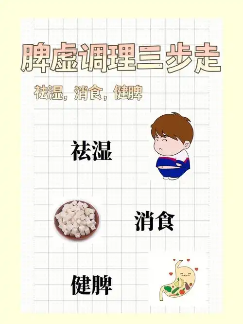 中医解决脾虚的三步骤祛湿消食健脾