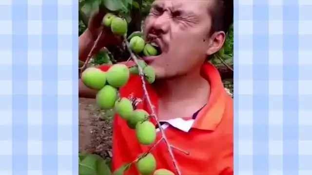 黑布林大李子甜不甜那必须得甜啊