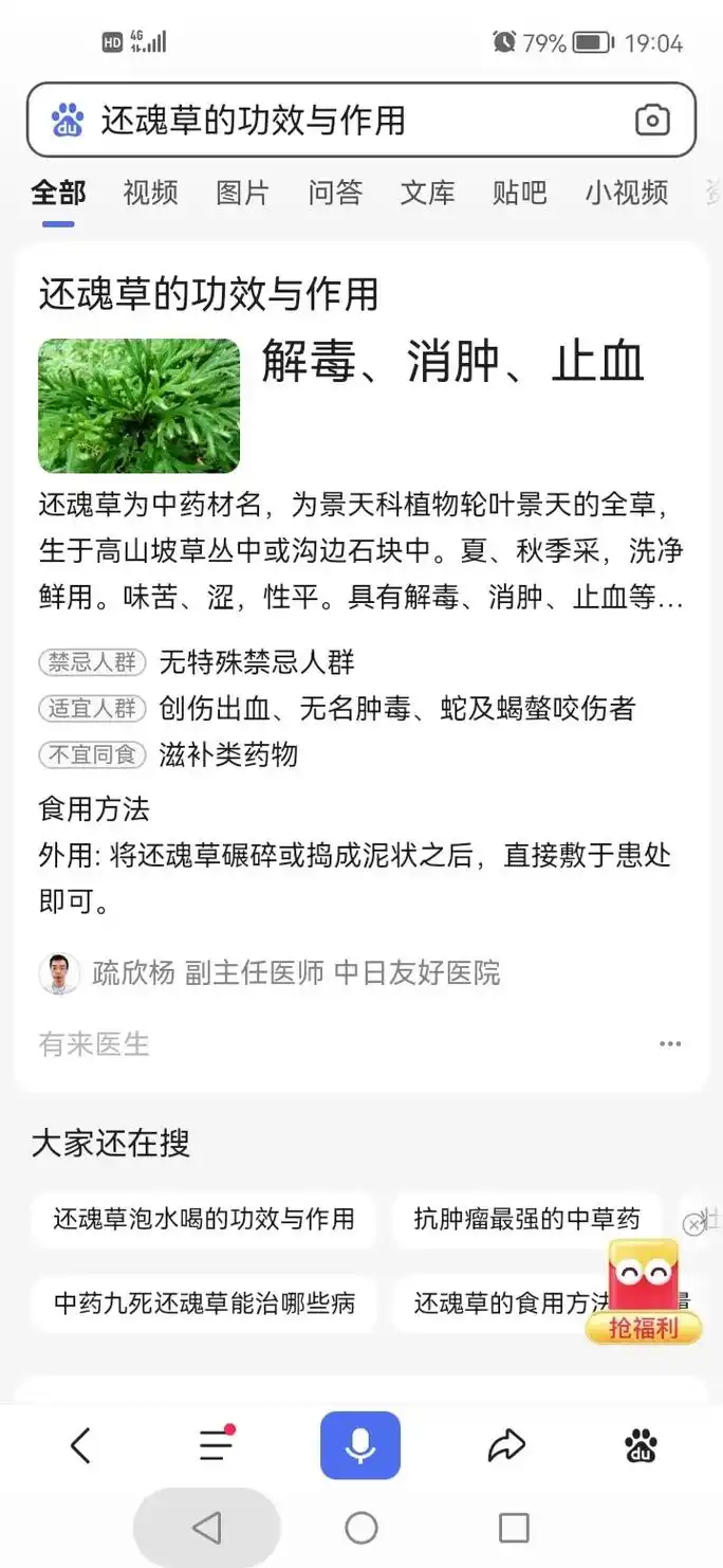 4g19:0479%还魂草的功效与作用全部视频图片问答文库贴 - 抖音