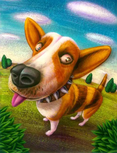 animal illustrations国外细腻彩色夸张动物插画欣赏27p