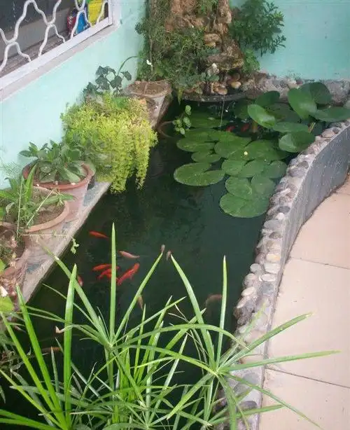 阳台鱼池图片装修效果图