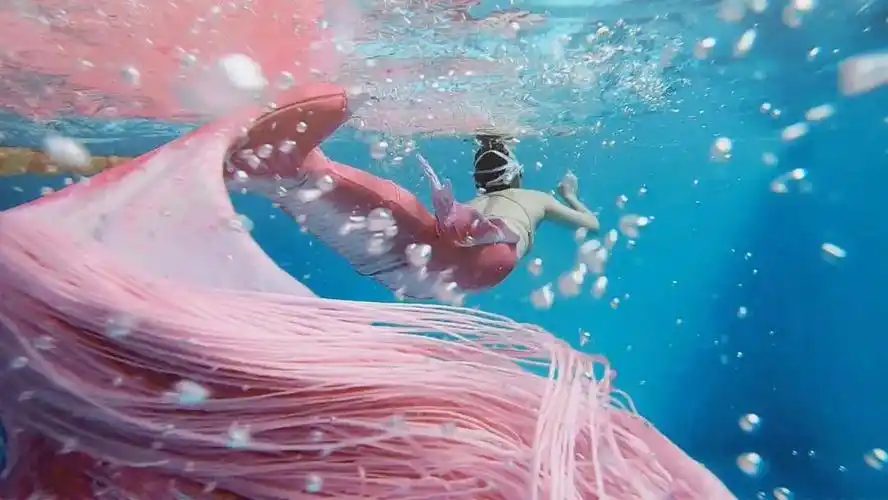 传说中人鱼的尾巴集万千色彩精华丨ta们要惊艳你一下_tina