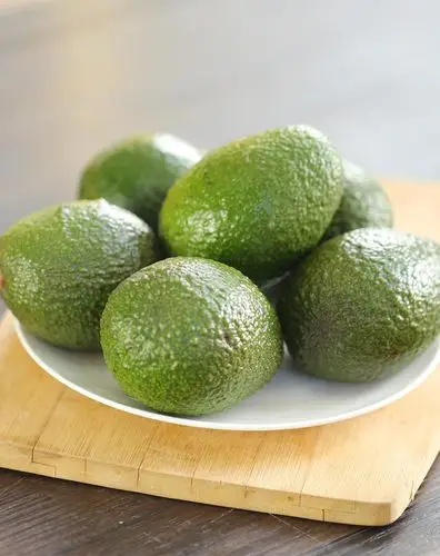 果郡王 墨西哥牛油果6粒 单果140-160g