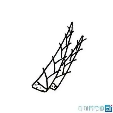 怎么画芦芽简笔画