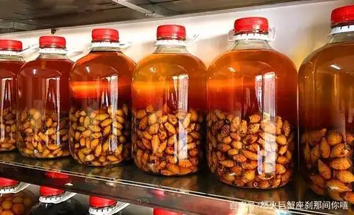 秋季一野果,浑身是刺,1斤30元,泡酒很滋补,营养又美味