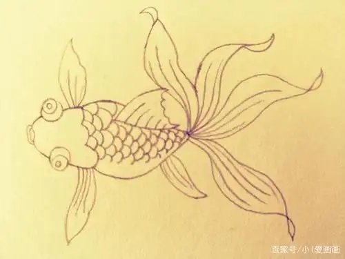 教你画一只小金鱼