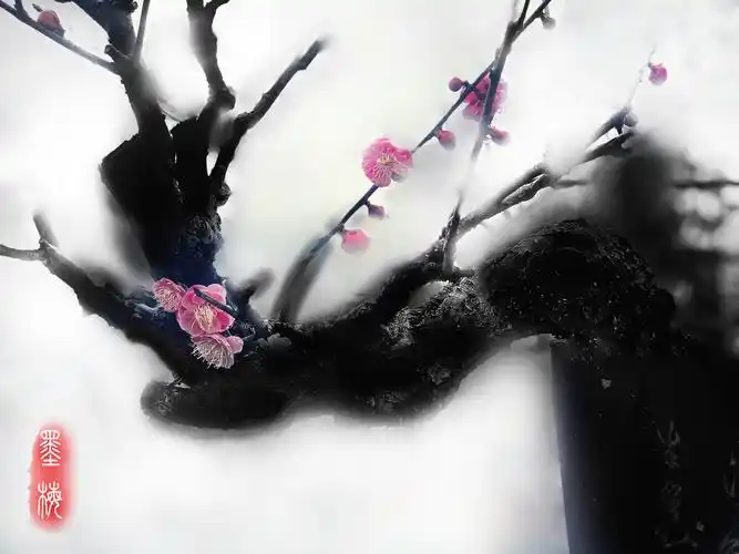 水墨画意——梅