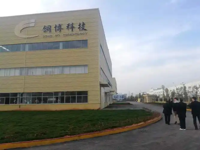 电解铜箔的大型企业诞生了!