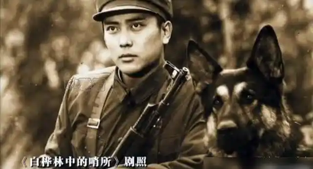 卢君80年代明星银幕罕见美男子陈肖依前夫如今64岁近照曝光