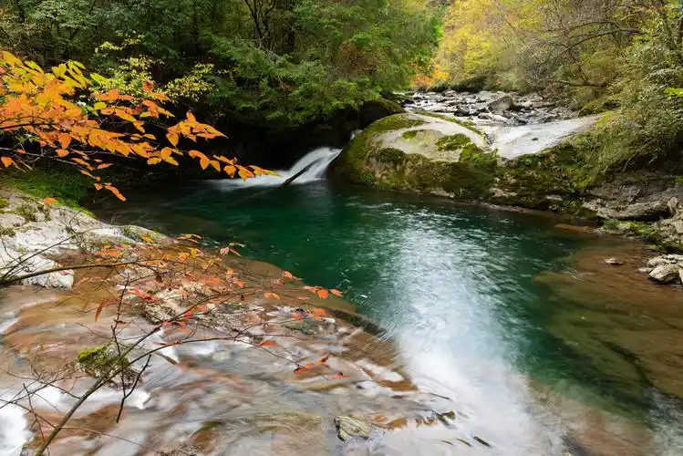 安康岚皋千层河霜降