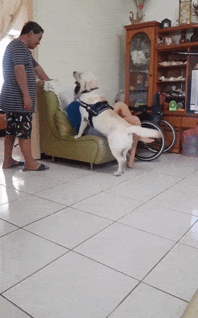 280_450竖版 竖屏gif 动态图 动图