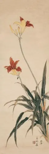 工笔萱草90x28cm荷花小品牡丹国色天香花卉二品之一花卉二品之二没骨