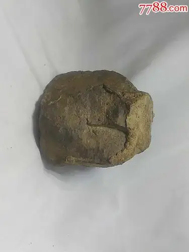 黄金石陨石12.12特价抢拍