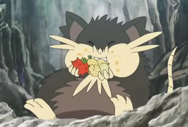 no.1 阿罗拉拉达