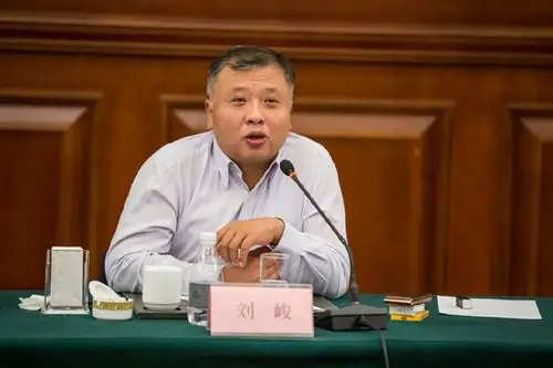 图为国家禁毒办副主任,公安部禁毒情报技术中心副主任刘峻讲话.