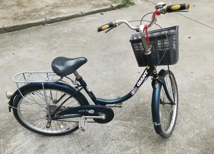 原装捷安特giant emile艾米莉弯梁铝合金城市通勤代步自行车