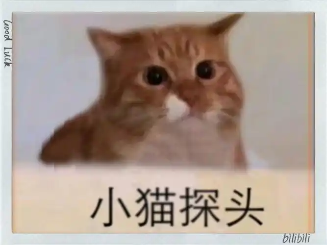 探头表情包!