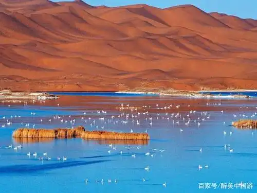 畅游腾格里沙漠天鹅湖,自然景观与人文景观相结合,风景优美