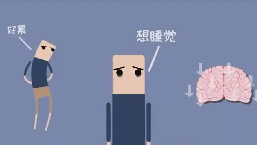 天天犯困是什么原因女人最近疲劳想睡觉什么原因