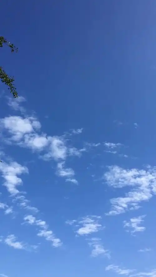 秋天,天气很清新,天空显得很高.