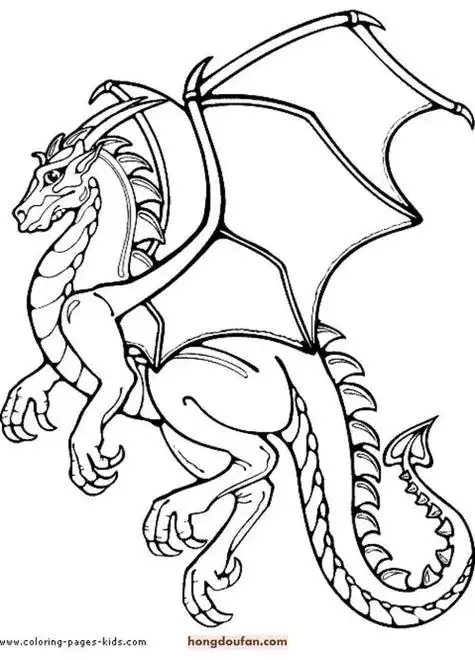 怎么画飞龙简笔画 简笔画图片大全-普车都