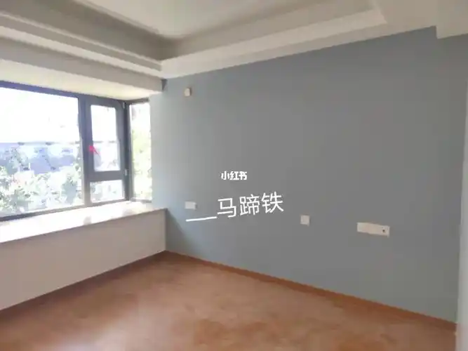 精装房改色立邦乳胶漆伦敦雾马蹄铁