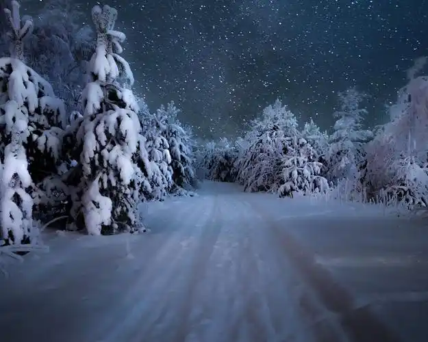 冬天,树木,厚厚的积雪,下雪 壁纸