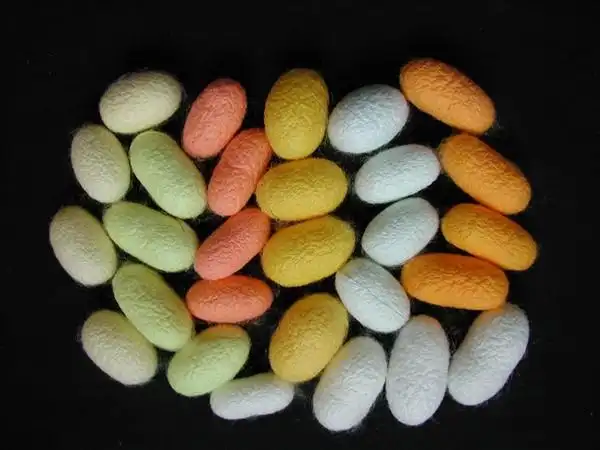 蚕茧颜色很丰富?