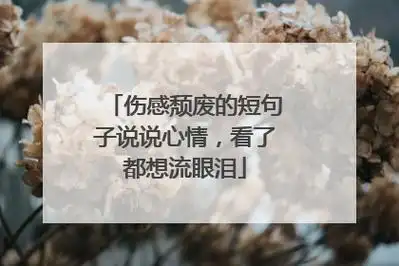 伤感颓废的短句子说说心情,看了都想流眼泪