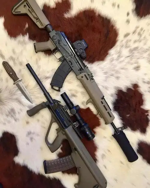 【老牌大厂】奥地利斯太尔公司枪械欣赏