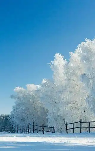 唯美的白雪手机桌面壁纸
