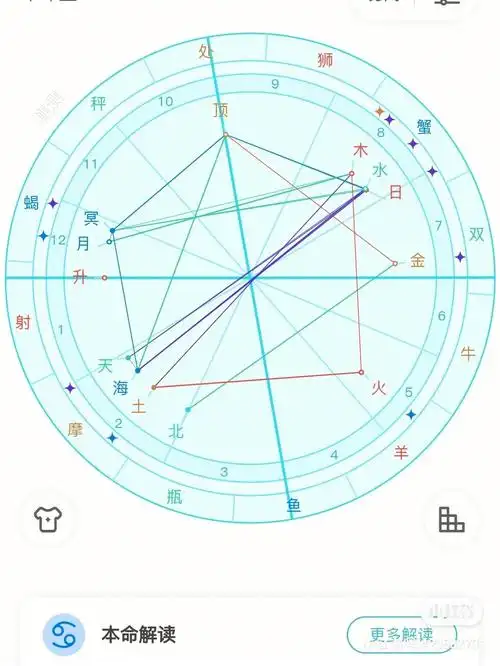 解析  求大神们帮忙看看这星盘的主要意思,金星那条线链接北是什么