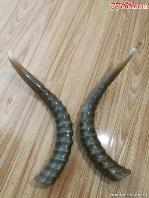 天然羊角-其他角制品-7788连环画