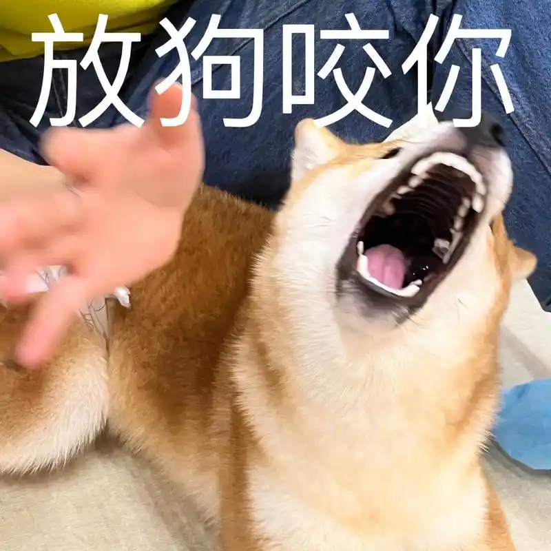 嘿嘿自己制作表情包#表情包#萌宠  #狗狗表情包 - 抖音