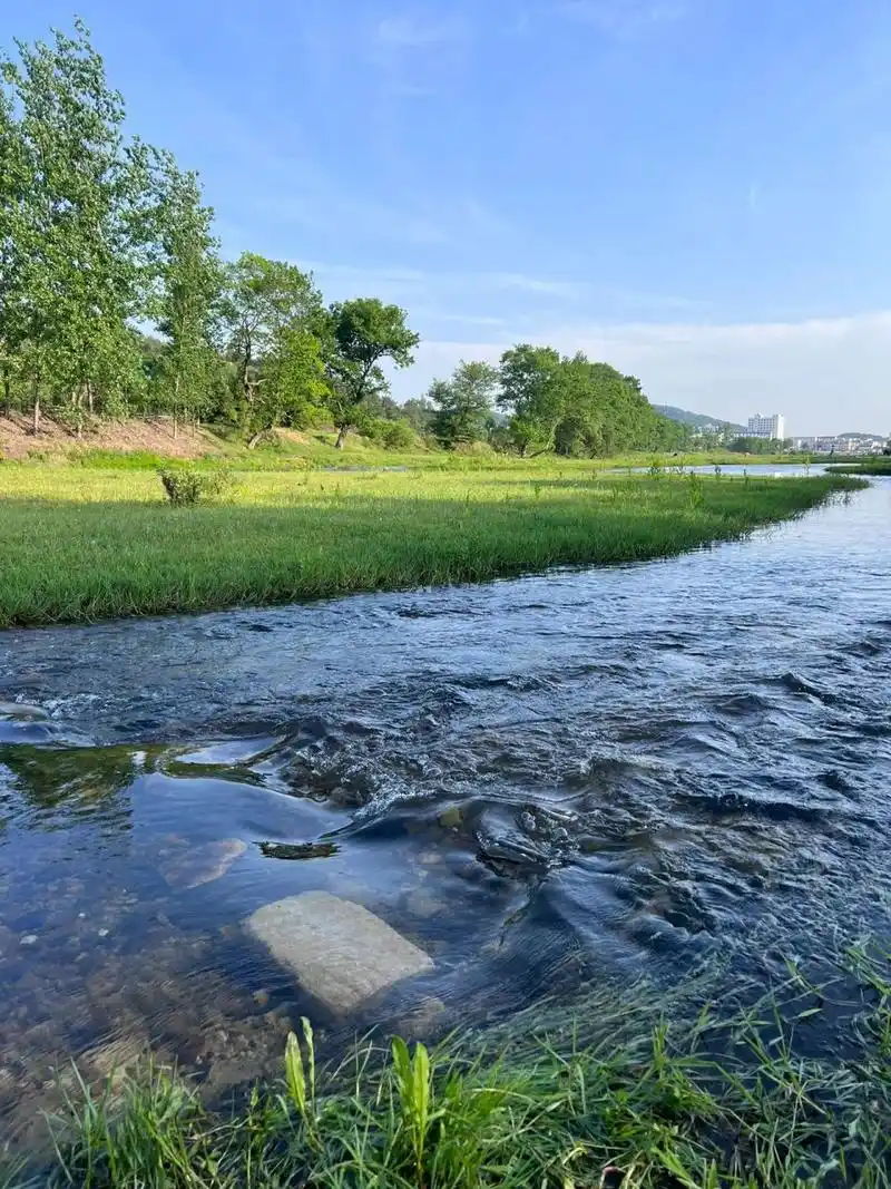 武汉露营 | 杨山河 武汉开车2小时抵达 红安县杨山河周围有树林和小溪