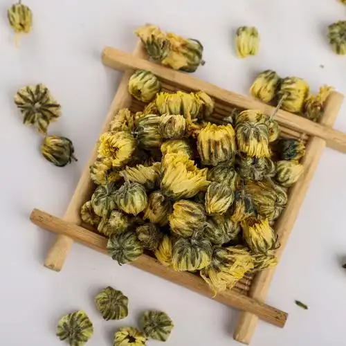 桐乡头采胎菊王新货北京胎菊花茶胎菊米花草茶颜色好散装产地批发