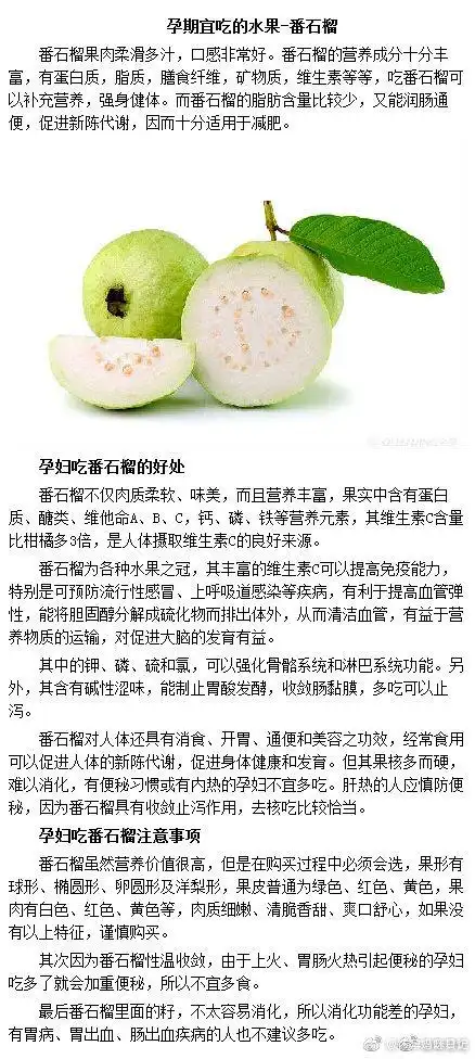 孕期营养#【孕期宜吃的水果-番石榴】番石榴不仅肉质柔软,味美,而且