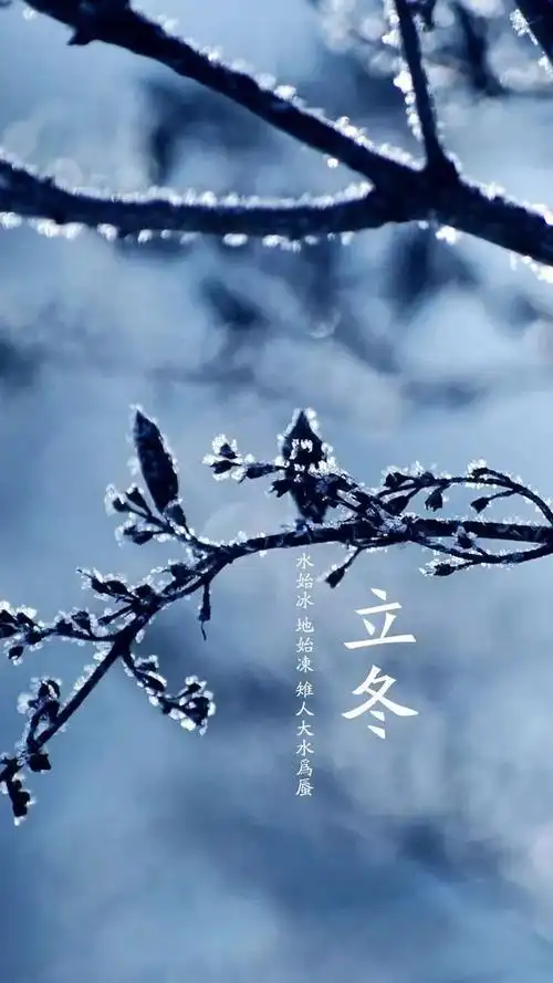 今日立冬丨万物始收藏养生亦有道三九补一冬来年无病痛