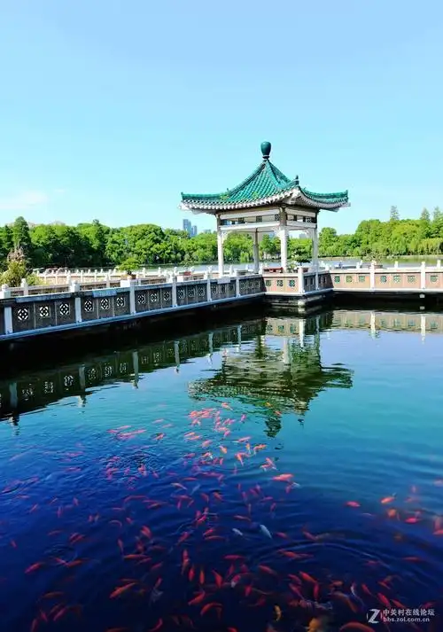 武汉东湖风景区观鱼台风光