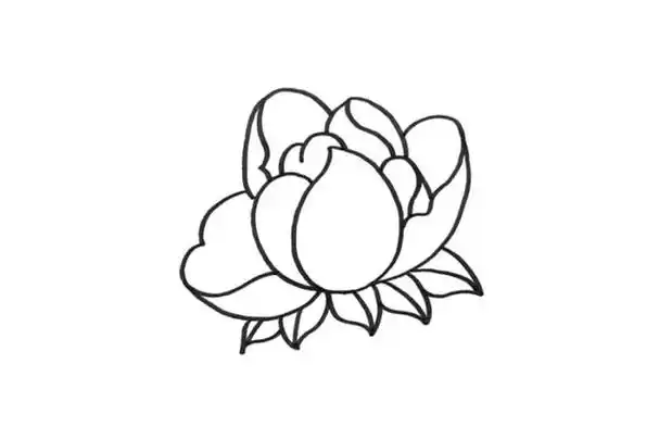 花如何画画牡丹花如何画画?_简笔画 - 绘画者图库