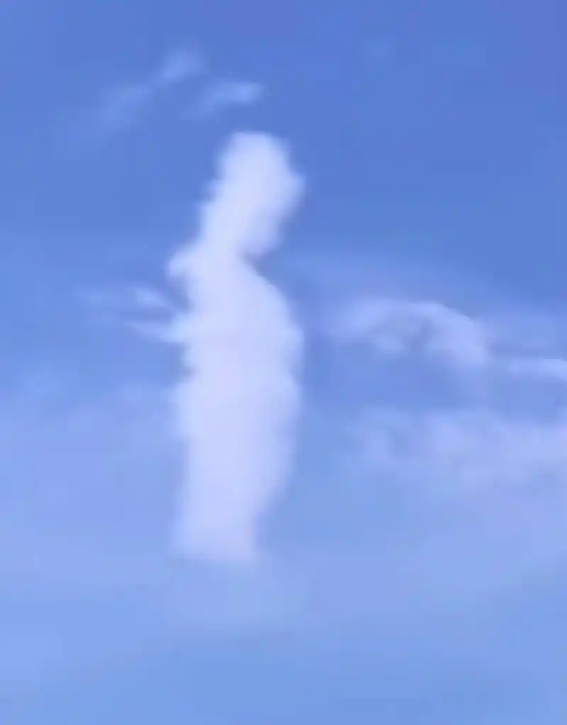 菩萨显圣#六月十九观音成道日 #佛渡有缘人 #心诚则灵 自从 - 抖音