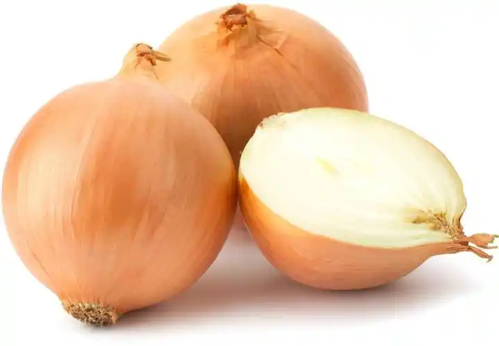 new crop fresh yellow onion with mesh bag