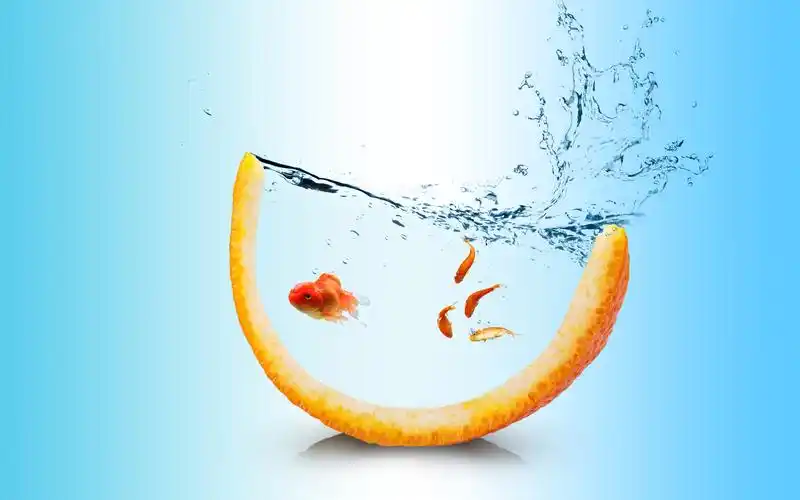 ps 橘子与鱼的合成_哔哩哔哩_bilibili