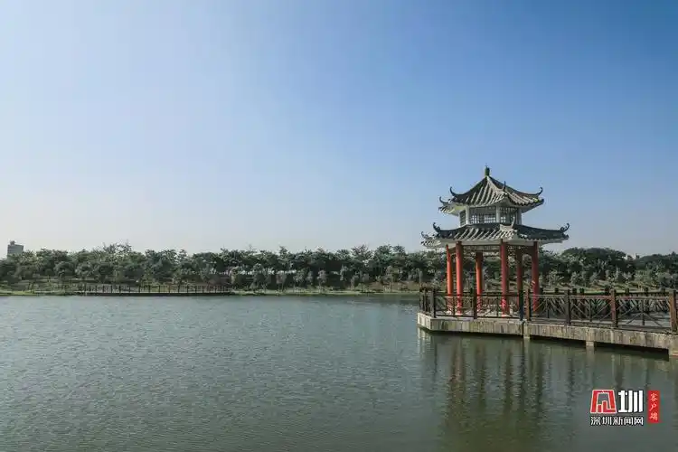 发现光明治水美景 |公明水库坝下景观湖:青山绿水闻鸟鸣 湖光倒影两