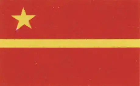 1949年国旗落选方案_中国