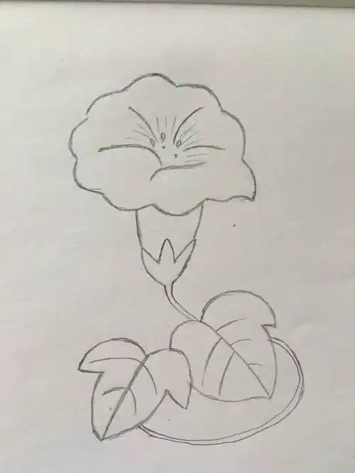 唯美喇叭花简笔画 2022最新喇叭花的画法
